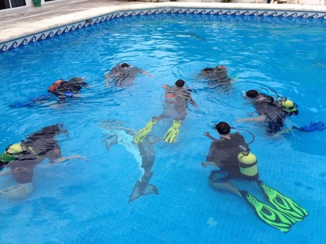 curso en piscina